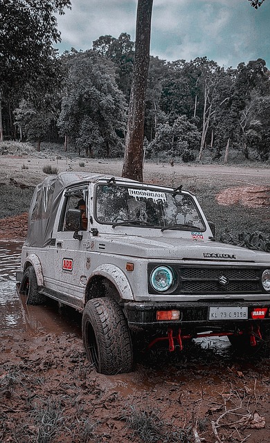 带来的影响 带来的影响