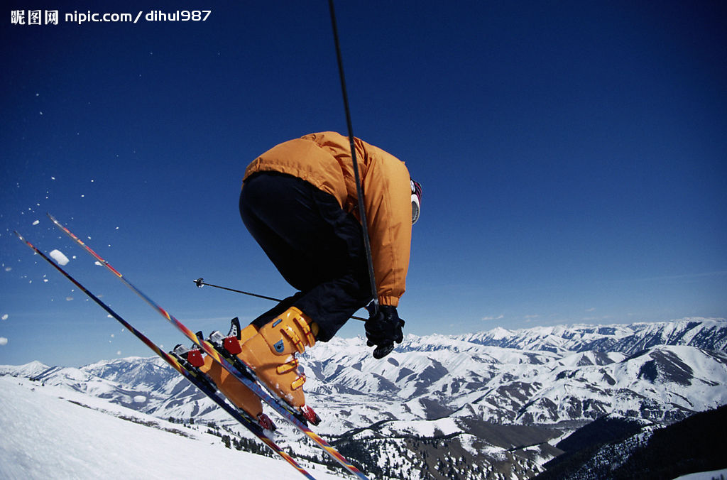 养了很多年 养了很多年