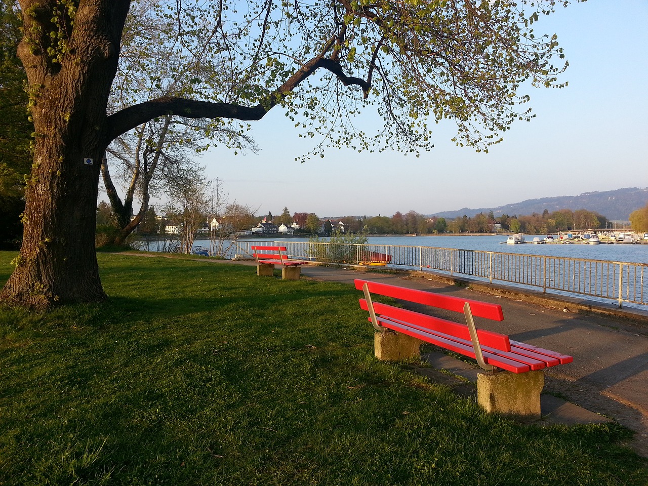 被寄予厚望 被寄予厚望