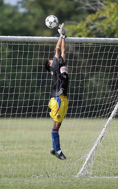 阶段都经过 阶段都经过