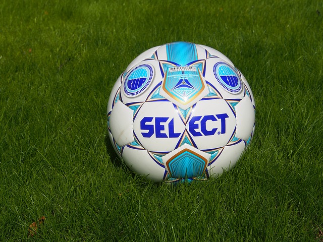 星维尼修斯 星维尼修斯