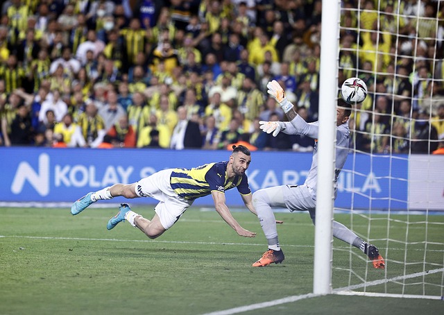 功签下维尔 功签下维尔