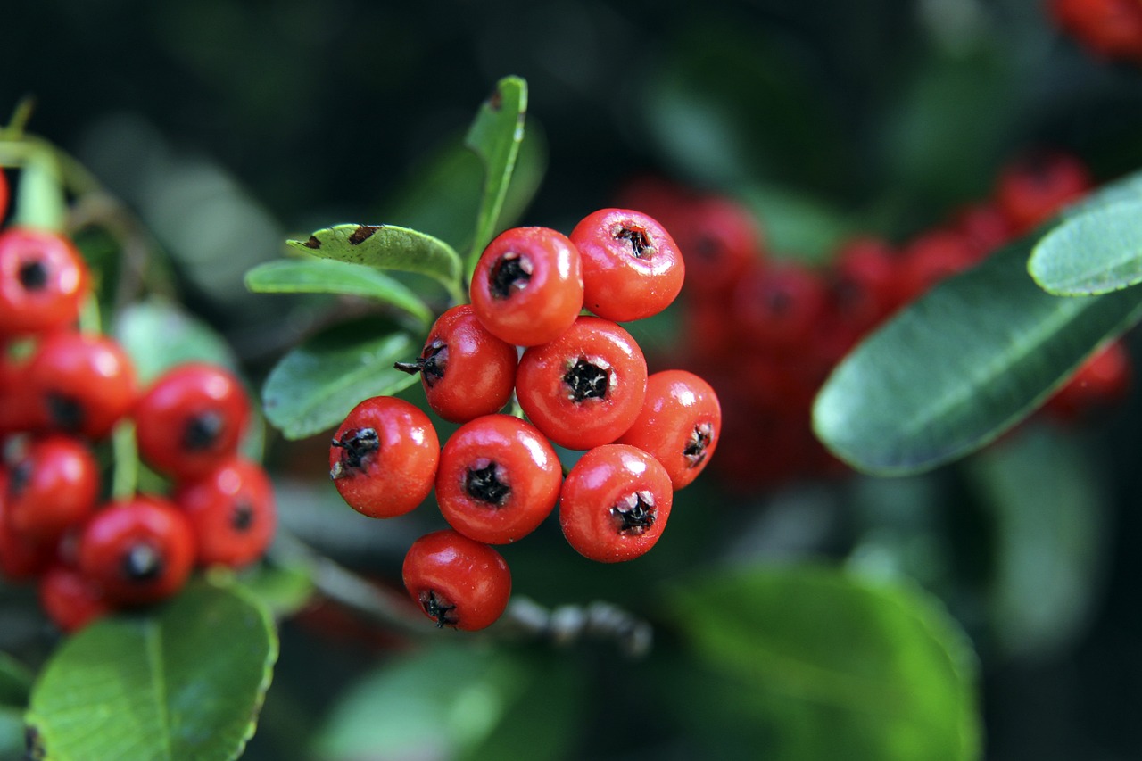 使他们在全 使他们在全