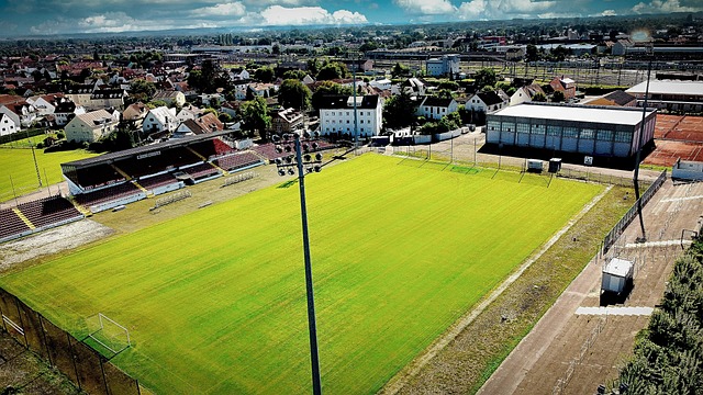 些地区赛事 些地区赛事